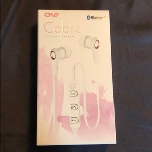 Wireless earbuds